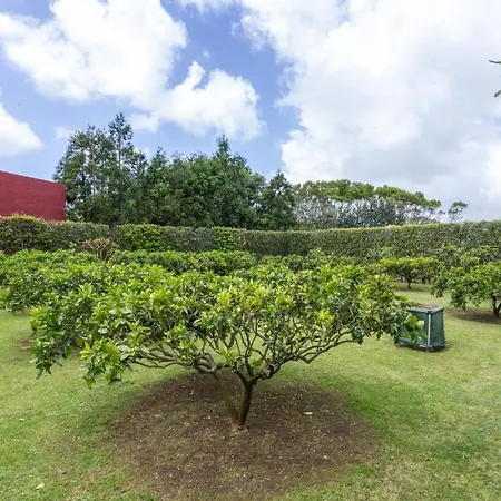 Quinta Da Paz Estudio 1 Pico da Pedra
